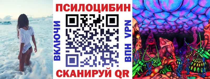 Галлюциногенные грибы прущие грибы  Купить закладки  Грязовец 